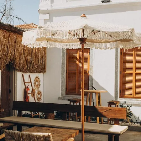 Notarius 博德鲁姆