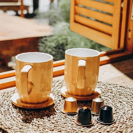 Notarius * 博德鲁姆